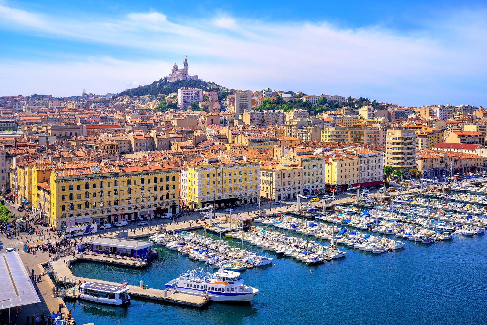 Campagnes électorales de Marseille et chiens: quel bilan avant le mois de mars?