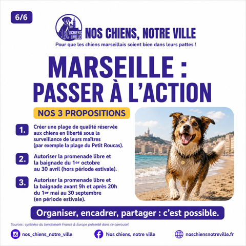 Chiens et plages à Marseille : organiser plutôt qu’interdire